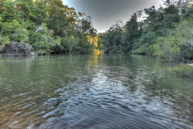 Abergowrie State Forest