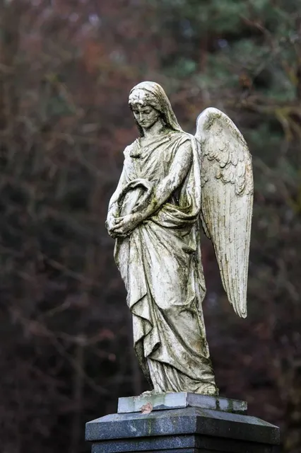 Mourning Angel