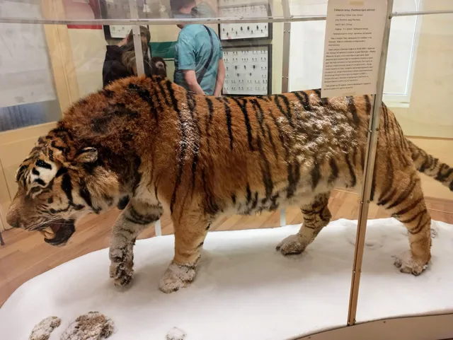 Museum of Natural History