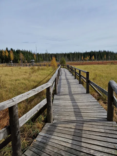 Rezerwat Przyrody Torfowisko pod Zieleńcem