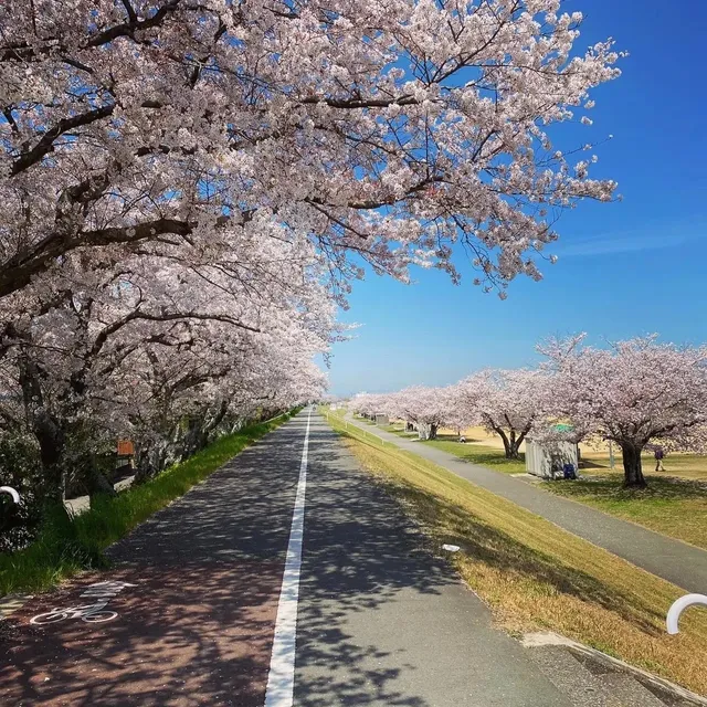 Kokuryogawa Ryokuchi Park