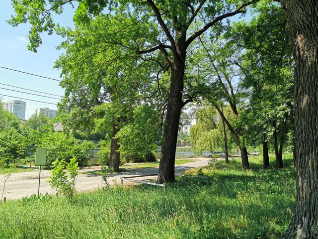 "Christer's Hill" Park