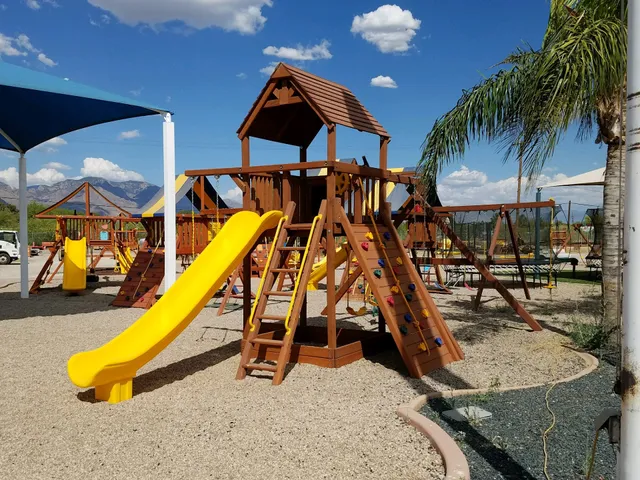 Tree Frogs Wooden Swing Set Factory - Tucson