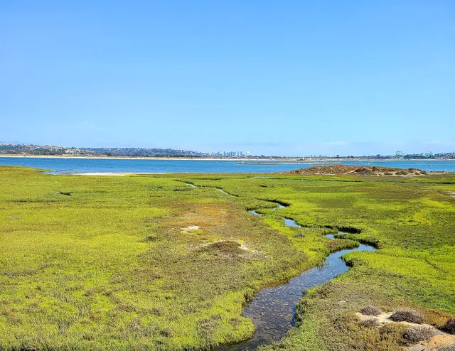 Kendall-Frost Mission Bay Marsh Reserve