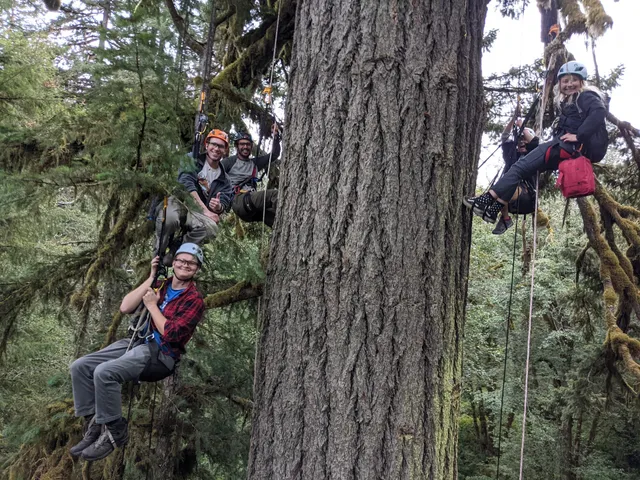 Tree Climbing at Silver Falls