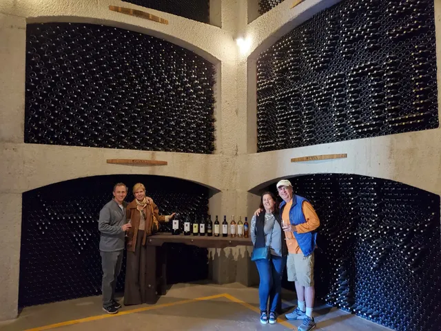 Vinícola Château Camou | Grandes Vinos Mexicanos Viñedo