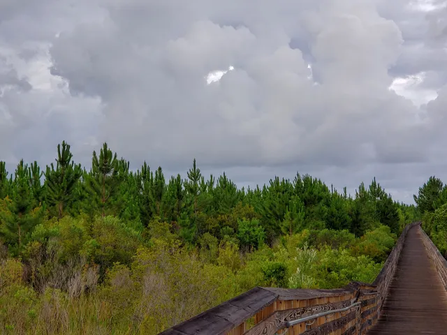 The Backcountry Trail