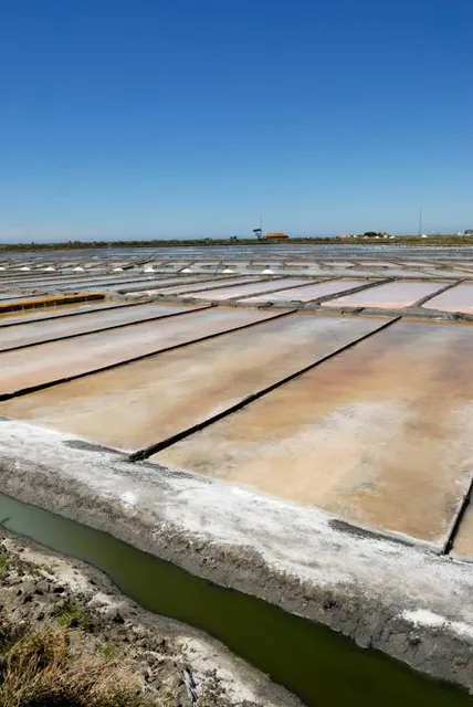 Salinas de Aveiro