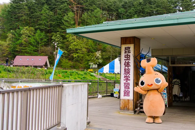 サクシコンチュウタイケンガクシュウカン