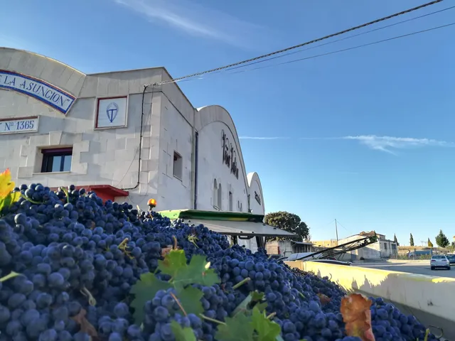 Dominio de Montelahorra