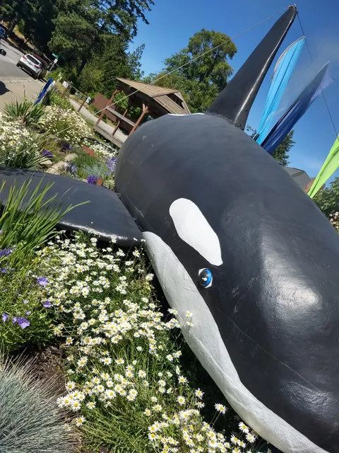 Orcas Wild Kayak and Bike Adventures