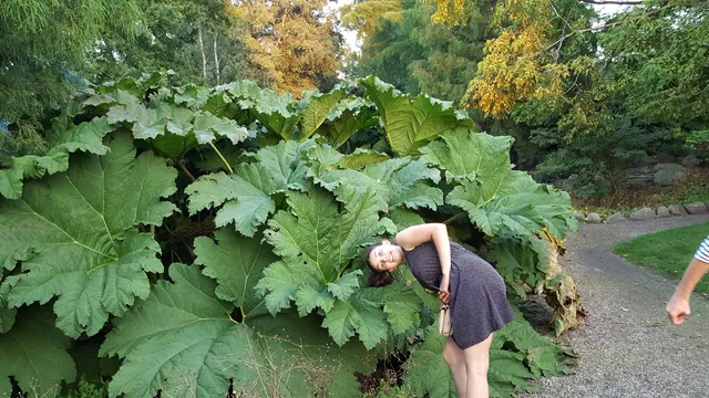 Cultural-botanical Garden