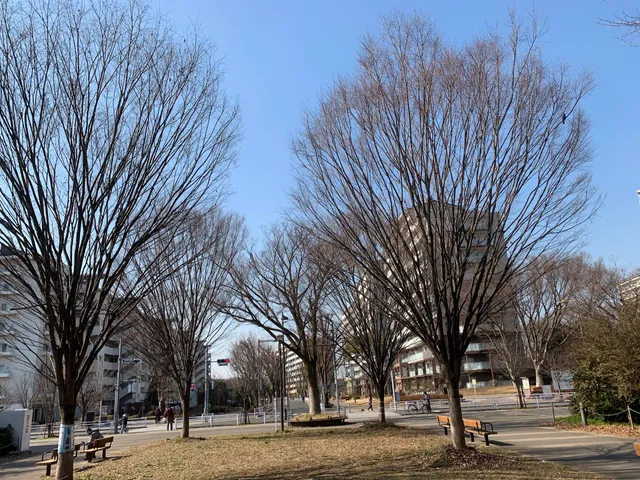 Hibarigaoka 3-chome Keyaki Park