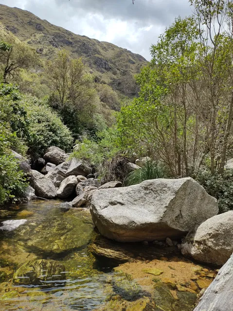 Natural reserve Quebrada de Villa Elena