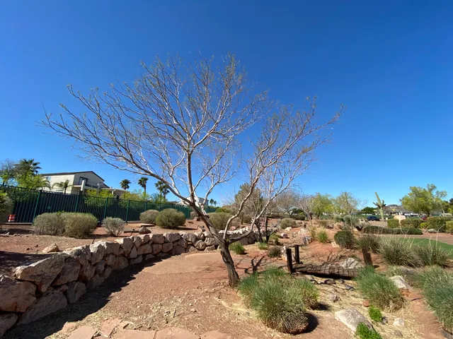 Acacia Demonstration Gardens