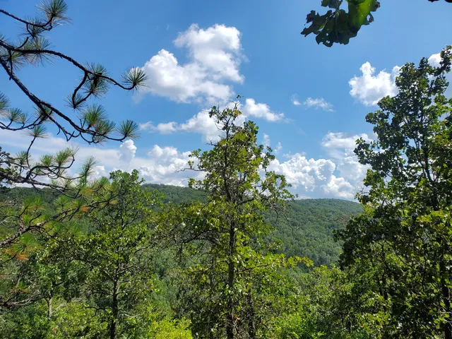 Coldwater Mountain Bike Trails, Anniston Trailhead
