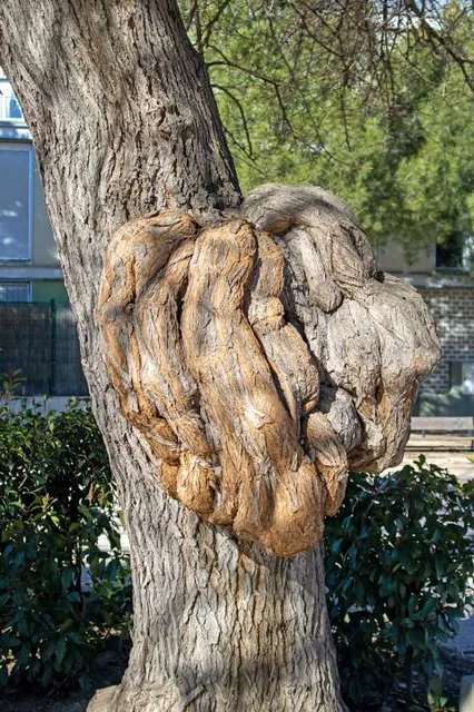 Fuente de las Brujas