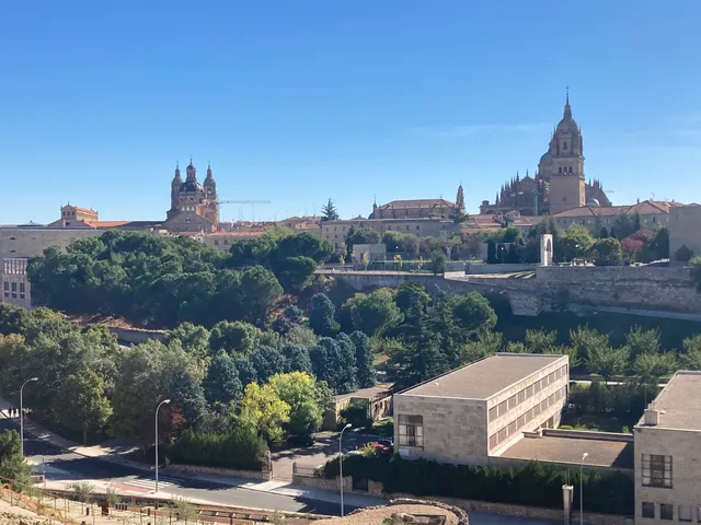 Yacimiento Arqueológico del Cerro de San Vicente