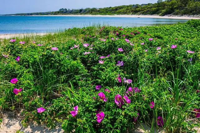 Point of Rocks Landing Beach