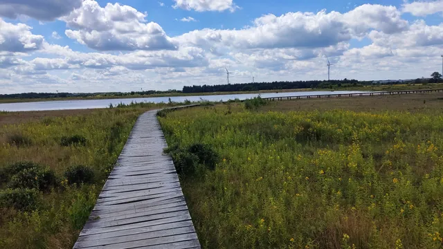 Natuurgebied Huis ter heide