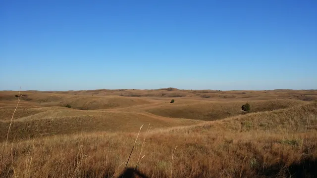 Samuel R. McKelvie National Forest