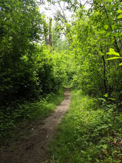 photo-1