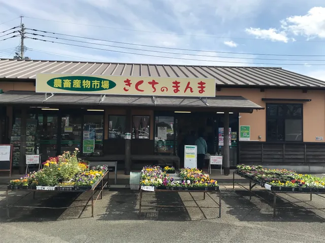 Kikuchi no Manma Produce Market (Koshi)
