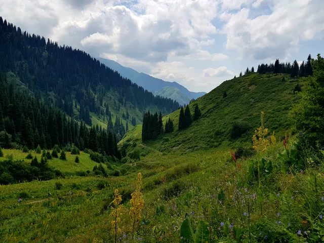Healthy Trekking Way Almaty
