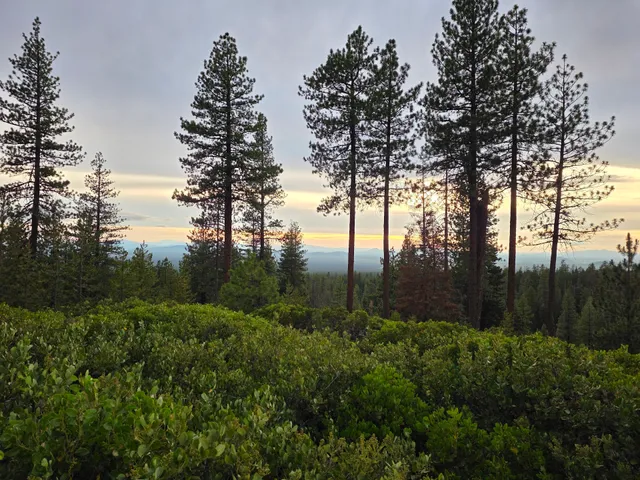 Newberry National Volcanic Monument Vista