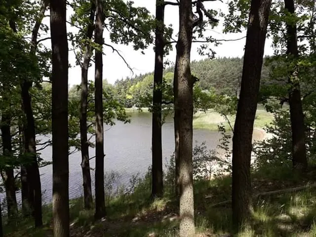 Nature Reserve Dybanka