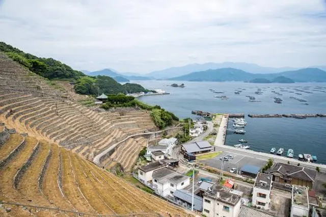 イシガキノサト