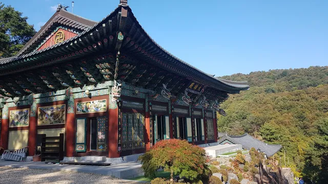 photo-1