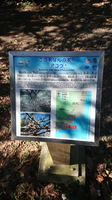 photo-2