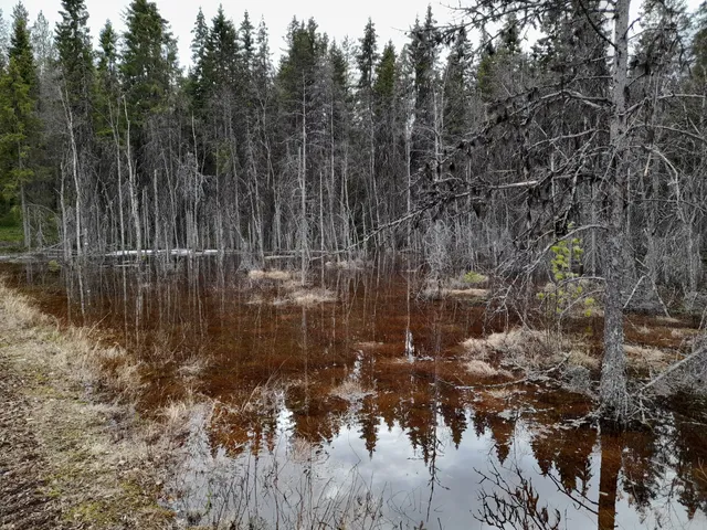 Riekkola-Välivaara naturskyddsområde
