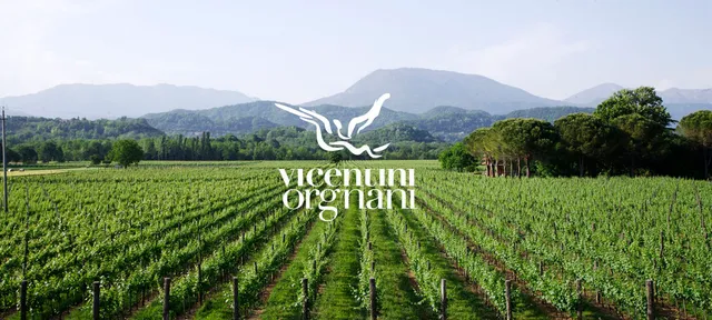 Azienda Agricola VICENTINI ORGNANI