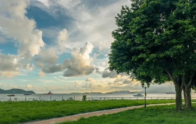 Cyberport Waterfront Park