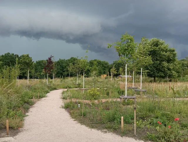 Urbaner Waldgarten Britz