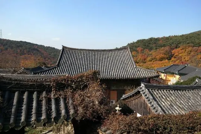 photo-2