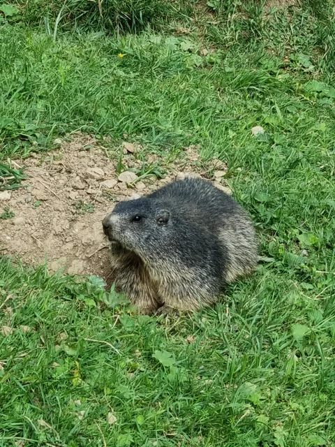 Adlergehege Obersalzberg