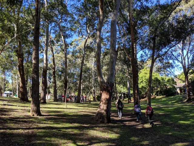 Stringybark Creek Reserve