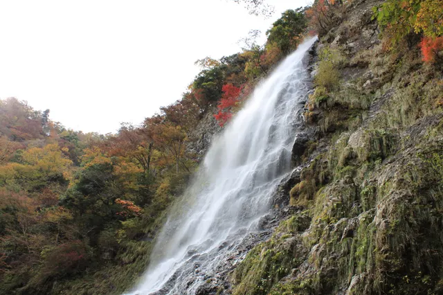 น้ำตกเทนดากิ