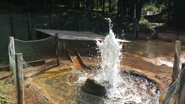 photo-1
