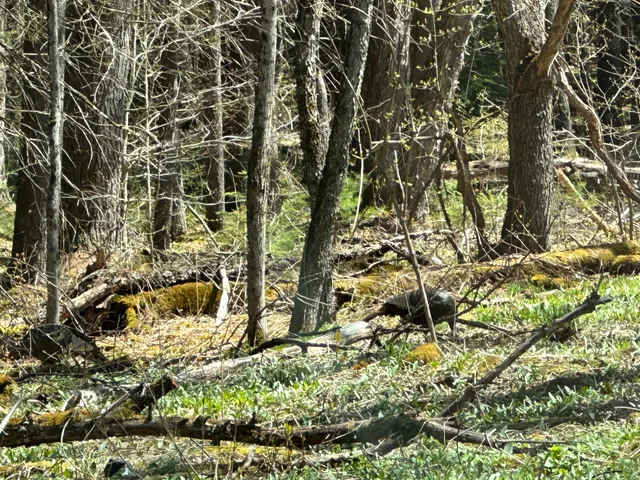 Happy Valley Wildlife Management Area