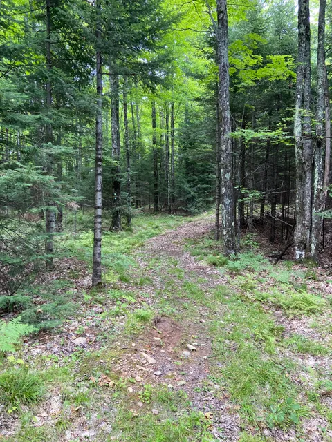 Tara Lila Sundstein Road Park Unit