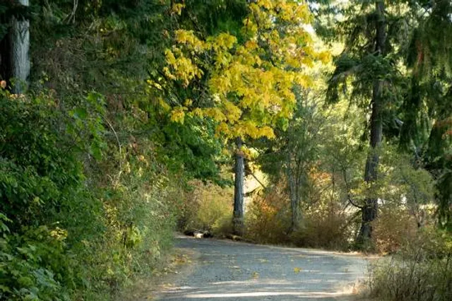 Manchester State Park