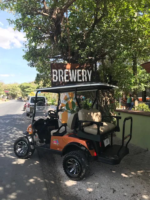 Flamingo Beach Golf Carts