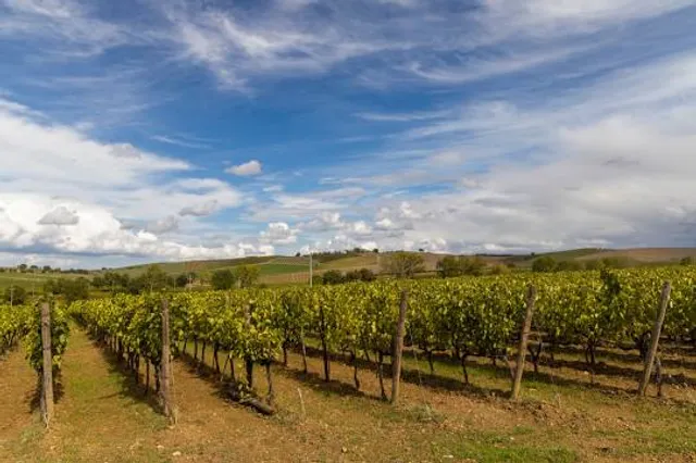 Centro de Ciência do Café