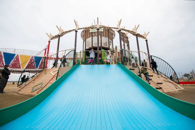 Forest Adventure of Kobaton