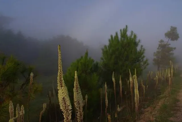 El Kala National Park