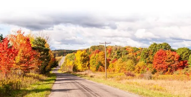 Warren Woods State Park